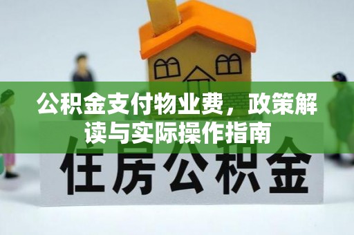 恩阳公积金支付物业费，政策解读与实际操作指南