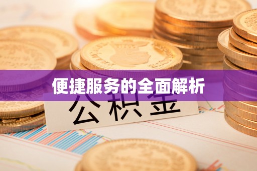 恩阳便捷服务的全面解析