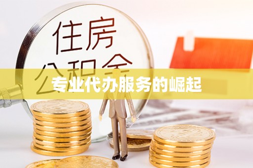 恩阳专业代办服务的崛起