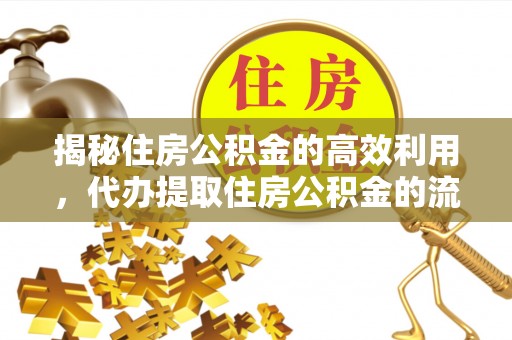 恩阳揭秘住房公积金的高效利用，代办提取住房公积金的流程与技巧