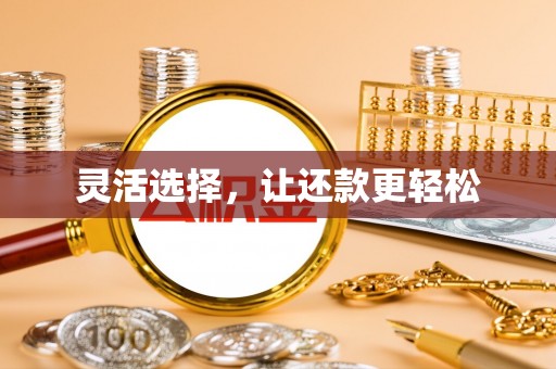 恩阳灵活选择，让还款更轻松