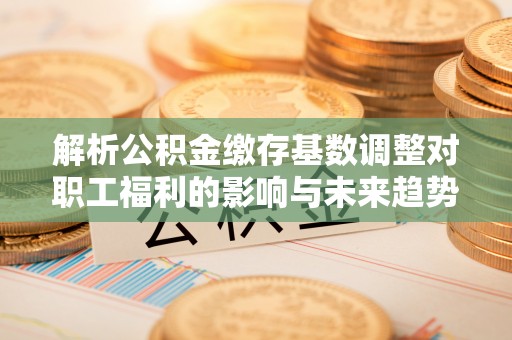 恩阳解析公积金缴存基数调整对职工福利的影响与未来趋势