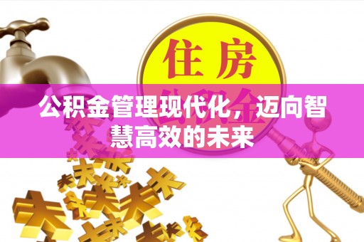恩阳公积金管理现代化，迈向智慧高效的未来