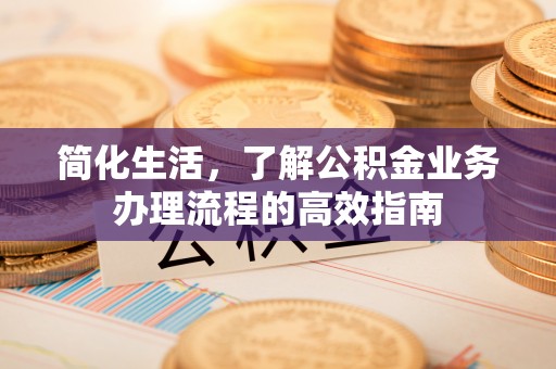 恩阳简化生活，了解公积金业务办理流程的高效指南