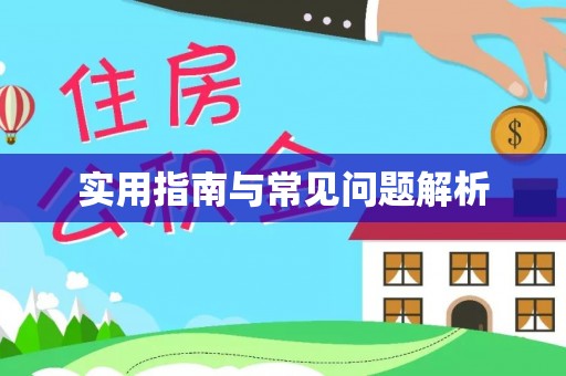 恩阳实用指南与常见问题解析