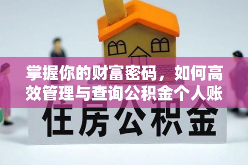 恩阳掌握你的财富密码，如何高效管理与查询公积金个人账户信息