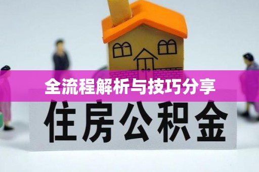 恩阳全流程解析与技巧分享